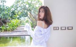 色虎网站精选主题